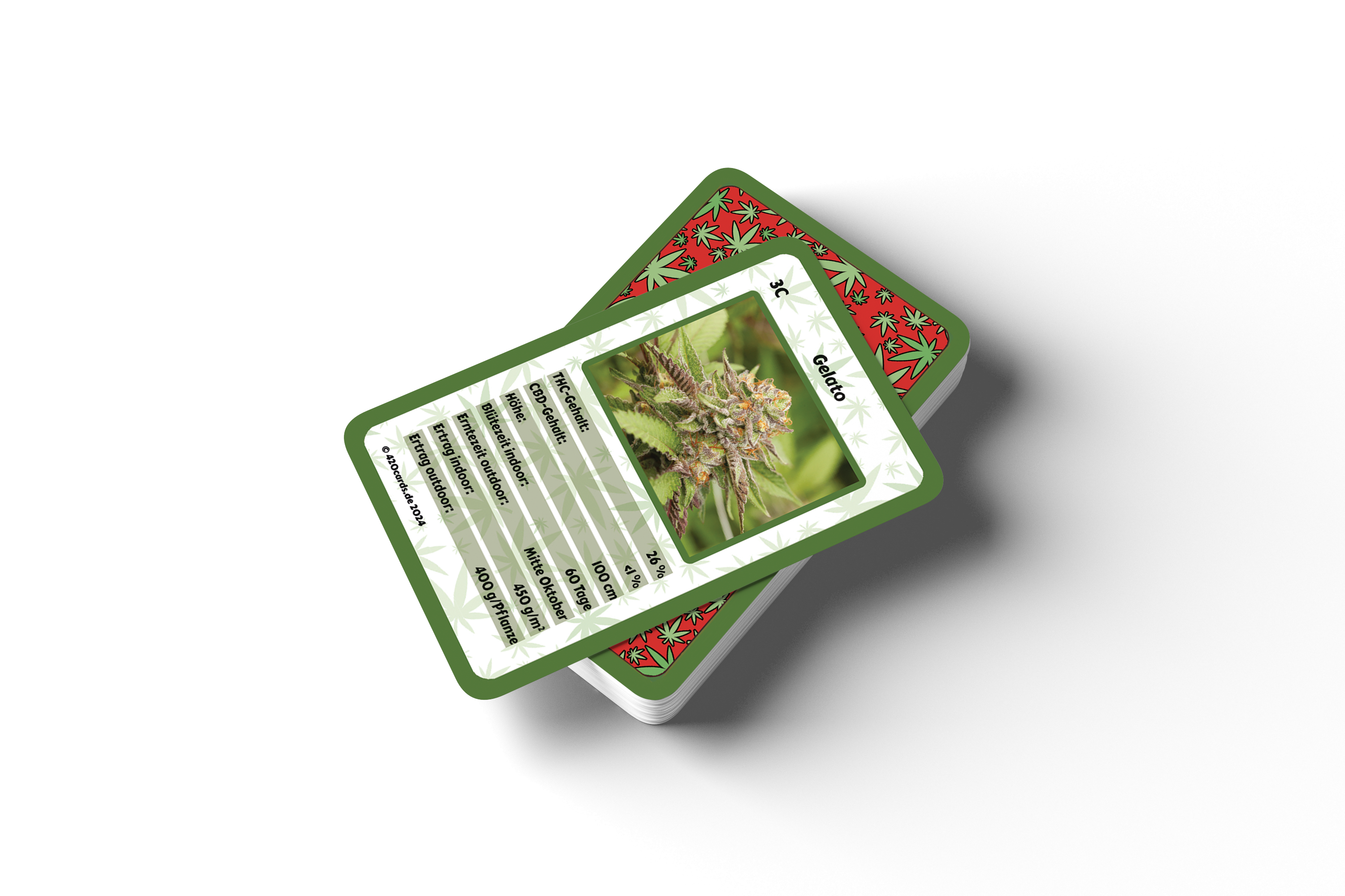 STARTER + EXPANSION SET - Premium Collector Bundle